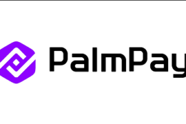 PalmPay Login Review