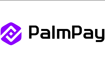 PalmPay Login Review