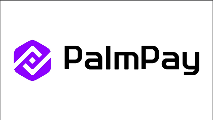 PalmPay Login Review